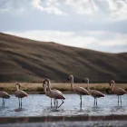 La imagen 6 de la Empresa 4M EXPRESS viaje en bus en Arequipa ARE