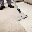 La imagen 3 de la Empresa A DECORATIVA SAC Servicio de limpieza de alfombras en Lima LAM