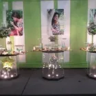 La imagen 15 de la Empresa A1 FIESTAS Y EVENTOS Universidad en Lima LAM