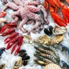 La imagen 1 de la Empresa ABANTO FISH Mayorista de mariscos en Lima LAM