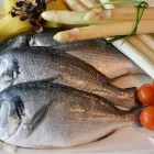 La imagen 3 de la Empresa ABANTO FISH Mayorista de mariscos en Lima LAM