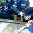 La imagen 4 de la Empresa ADEMINSAC Ingeniero en Lima LAM