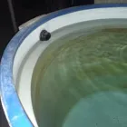 La imagen 3 de la Empresa ANDRÉS GASFITERÍA Servicio de detección de fugas en Lima LAM