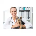 La imagen 3 de la Empresa ANIMAL CLINIC PERÚ Veterinario en Lima LAM