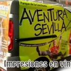 La imagen 4 de la Empresa AVANCE PUBLICIDAD Viniles en Arequipa ARE