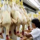 La imagen 1 de la Empresa AVÍCOLA RICCO POLLO Tienda de alimentos naturales en Chaupimarca Cerro De Pasco Perú