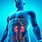 La imagen 3 de la Empresa CANCHUCAJA ANGULO DANIEL ALCIDES Urologia Pediatrica en La Libertad Perú