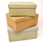 La imagen 3 de la Empresa CARTONERÍA RAQUELITA Fábrica de Papel en Metropolitana De Lima Perú