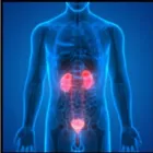 La imagen 3 de la Empresa CAYETANO ESPINOZA ADOLFO EDWIN - CIRUJANO URÓLOGO Urologia Pediatrica en Arequipa ARE