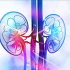 La imagen 4 de la Empresa CAYETANO ESPINOZA ADOLFO EDWIN - CIRUJANO URÓLOGO Urologia Pediatrica en Arequipa ARE