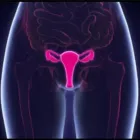 La imagen 5 de la Empresa CAYETANO ESPINOZA ADOLFO EDWIN - CIRUJANO URÓLOGO Urologia Pediatrica en Arequipa ARE