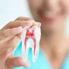 La imagen 1 de la Empresa CLÍNICA DENTAL CARLOS DEL AGUILA Odontologia en Lima LAM