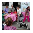 La imagen 1 de la Empresa CLÍNICA VETERINARIA PREVI Veterinario en Lima LAM