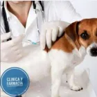 La imagen 5 de la Empresa CLINICA VETERINARIA & SPA GOLDENVET Veterinario en Tacna TAC