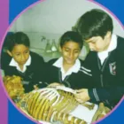 La imagen 2 de la Empresa COLEGIO PRIVADO SAN BASILIO EIRL Escuela secundaria en Lima LAM