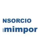 La imagen 94 de la Empresa CONSORCIO FAMIMPORT X-Spark en Santiago de Surco LAM