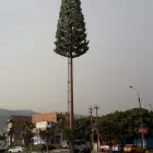 La imagen 1 de la Empresa CONTRATISTAS GENERALES EL REY Proveedor de servicios de telecomunicaciones en Lima LAM