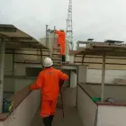 La imagen 2 de la Empresa CONTROL DE PLAGAS VM Servicio de control de plagas en San Vicente de Cañete LAM