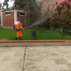La imagen 3 de la Empresa CONTROL DE PLAGAS VM Servicio de control de plagas en San Vicente de Cañete LAM