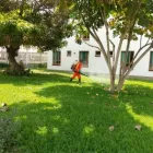 La imagen 4 de la Empresa CONTROL DE PLAGAS VM Servicio de control de plagas en San Vicente de Cañete LAM