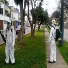 La imagen 1 de la Empresa CONTROL PLAG SAC Servicio de control de plagas en Lima LAM