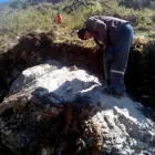 La imagen 5 de la Empresa CORPORACIÓN NEBUSI SAC Contratista General en Cajamarca CAJ