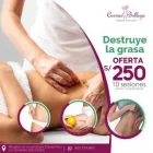 La imagen 9 de la Empresa CURVAS Y BELLEZA Spa en Lima LAM