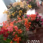La imagen 2 de la Empresa DECO JARDINES SERVICE S.A.C. Paisajista en Lima LAM