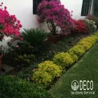 La imagen 3 de la Empresa DECO JARDINES SERVICE S.A.C. Paisajista en Lima LAM