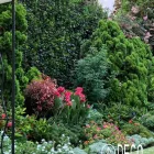 La imagen 5 de la Empresa DECO JARDINES SERVICE S.A.C. Paisajista en Lima LAM
