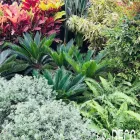 La imagen 6 de la Empresa DECO JARDINES SERVICE S.A.C. Paisajista en Lima LAM