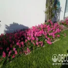 La imagen 7 de la Empresa DECO JARDINES SERVICE S.A.C. Paisajista en Lima LAM