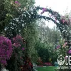La imagen 8 de la Empresa DECO JARDINES SERVICE S.A.C. Paisajista en Lima LAM