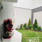La imagen 9 de la Empresa DECO JARDINES SERVICE S.A.C. Paisajista en Lima LAM