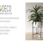 La imagen 11 de la Empresa DECO JARDINES SERVICE S.A.C. Paisajista en Lima LAM