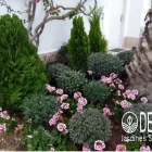 La imagen 17 de la Empresa DECO JARDINES SERVICE S.A.C. Paisajista en Lima LAM