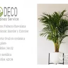 La imagen 18 de la Empresa DECO JARDINES SERVICE S.A.C. Paisajista en Lima LAM