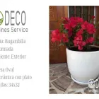 La imagen 19 de la Empresa DECO JARDINES SERVICE S.A.C. Paisajista en Lima LAM