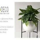 La imagen 20 de la Empresa DECO JARDINES SERVICE S.A.C. Paisajista en Lima LAM