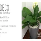 La imagen 21 de la Empresa DECO JARDINES SERVICE S.A.C. Paisajista en Lima LAM