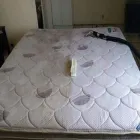 La imagen 6 de la Empresa DECODIORS Servicio de limpieza de alfombras en Lima LAM