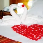 La imagen 4 de la Empresa DEL CASTILLO PLAZA HOTEL * * * PUCALLPA Turismo en Pucallpa en Pucallpa Ucayali