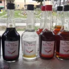 La imagen 13 de la Empresa DERIVADOS DE FRUTAS DEL PERÚ S.A.C. Sostenible en San Vicente de Cañete LAM