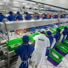 La imagen 2 de la Empresa DEXIM S.R.L. Tienda de comestibles en Piura PIU