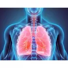 La imagen 3 de la Empresa DR. LUIS H. CHIRINOS ZEGARRA - NEUMOLOGO Neumología en Arequipa ARE