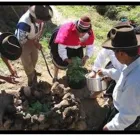 La imagen 5 de la Empresa EL ENCUENTRO CON LA PACHAMAMA Agencia de Viaje en Cusco CUS