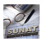 La imagen 3 de la Empresa ESTUDIO CONTABLE JURÍDICO ELLAR Contable en Lima LAM