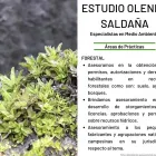 La imagen 2 de la Empresa ESTUDIO OLENKA SALDAÑA ESPECIALISTA EN MEDIO AMBIENTE Y DELITOS AMBIENTALES Notaria en Lima Metropolitana LAM