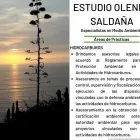 La imagen 3 de la Empresa ESTUDIO OLENKA SALDAÑA ESPECIALISTA EN MEDIO AMBIENTE Y DELITOS AMBIENTALES Notaria en Lima Metropolitana LAM