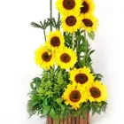 La imagen 1 de la Empresa FLORERIA TALLOS Y MIEL - RIMAC Flores en Lima LAM